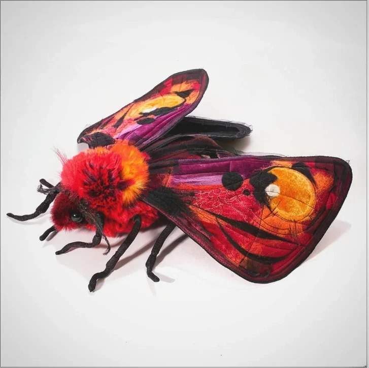 Papillon rouge